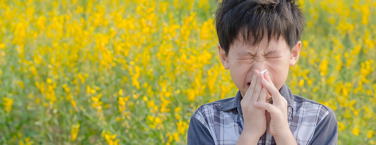 Allergy Season: How HVAC Maintenance Can Help | Refrigeration School ...